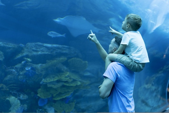 Aquario e Zoo